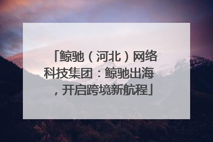 鲸驰（河北）网络科技集团：鲸驰出海，开启跨境新航程