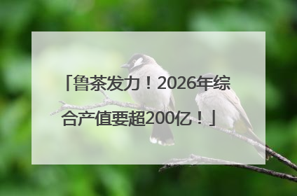 鲁茶发力！2026年综合产值要超200亿！