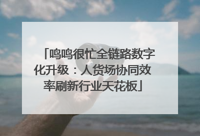 鸣鸣很忙全链路数字化升级：人货场协同效率刷新行业天花板