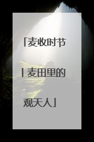 麦收时节丨麦田里的观天人