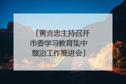 黄喜忠主持召开市委学习教育集中整治工作推进会