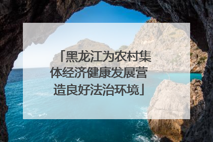 黑龙江为农村集体经济健康发展营造良好法治环境