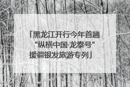 黑龙江开行今年首趟“纵横中国·龙泰号”援疆银发旅游专列