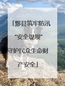 黟县筑牢防汛“安全堤坝” 守护民众生命财产安全