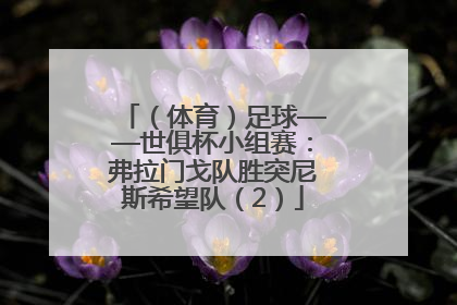 （体育）足球——世俱杯小组赛：弗拉门戈队胜突尼斯希望队（2）