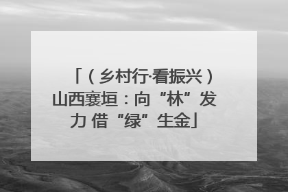 （乡村行·看振兴）山西襄垣：向“林”发力 借“绿”生金