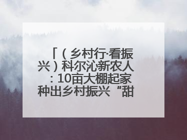 （乡村行·看振兴）科尔沁新农人：10亩大棚起家种出乡村振兴“甜蜜果”