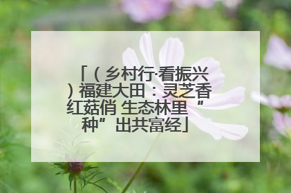 （乡村行·看振兴）福建大田：灵芝香红菇俏 生态林里“种”出共富经