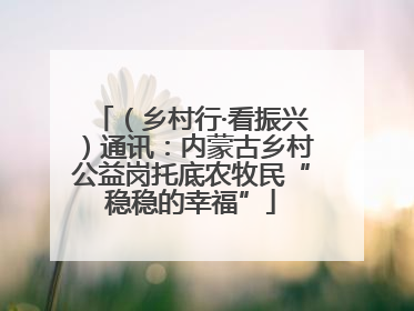 （乡村行·看振兴）通讯：内蒙古乡村公益岗托底农牧民“稳稳的幸福”