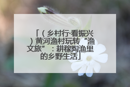 （乡村行·看振兴）黄河渔村玩转“渔文旅”：耕稼陶渔里的乡野生活