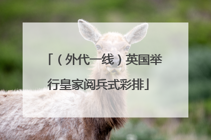 （外代一线）英国举行皇家阅兵式彩排