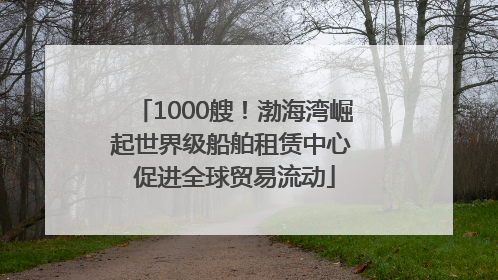 1000艘！渤海湾崛起世界级船舶租赁中心 促进全球贸易流动