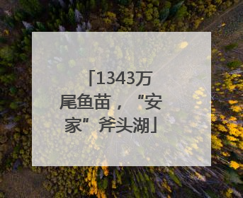 1343万尾鱼苗，“安家”斧头湖