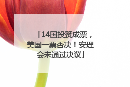 14国投赞成票，美国一票否决！安理会未通过决议