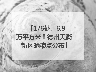 176处、6.9万平方米！德州天衢新区晒粮点公布