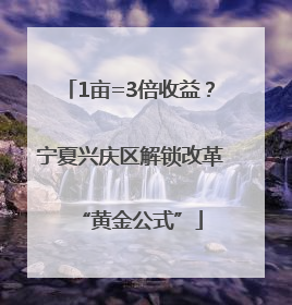 1亩=3倍收益？宁夏兴庆区解锁改革“黄金公式”