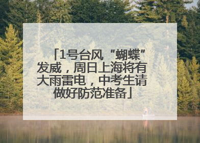 1号台风“蝴蝶”发威，周日上海将有大雨雷电，中考生请做好防范准备