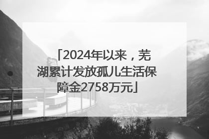 2024年以来，芜湖累计发放孤儿生活保障金2758万元