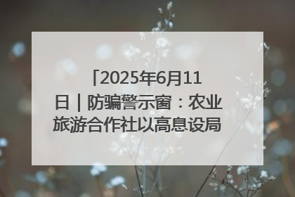 2025年6月11日｜防骗警示窗：农业旅游合作社以高息设局，集资380万