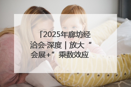 2025年廊坊经洽会·深度｜放大“会展+”乘数效应 打造消费新场景