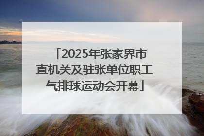 2025年张家界市直机关及驻张单位职工气排球运动会开幕