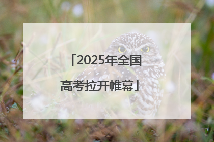 2025年全国高考拉开帷幕