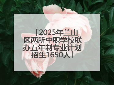 2025年兰山区两所中职学校联办五年制专业计划招生1650人