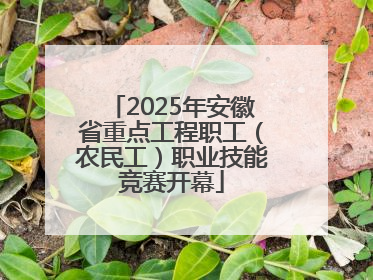2025年安徽省重点工程职工（农民工）职业技能竞赛开幕