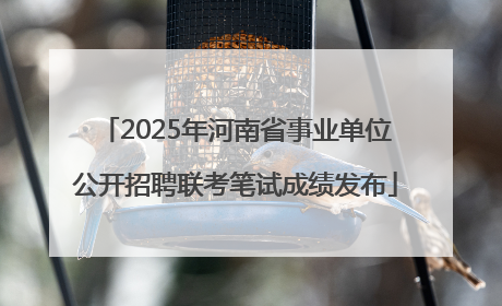 2025年河南省事业单位公开招聘联考笔试成绩发布