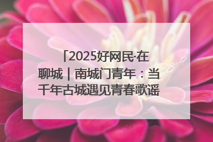 2025好网民·在聊城｜南城门青年：当千年古城遇见青春歌谣 一湖碧水见证的“聊城式浪漫”