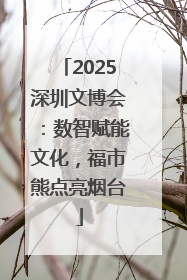 2025深圳文博会：数智赋能文化，福市熊点亮烟台