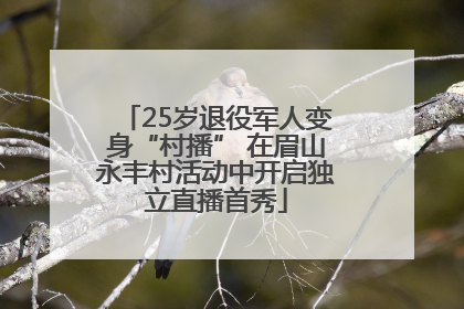 25岁退役军人变身“村播” 在眉山永丰村活动中开启独立直播首秀