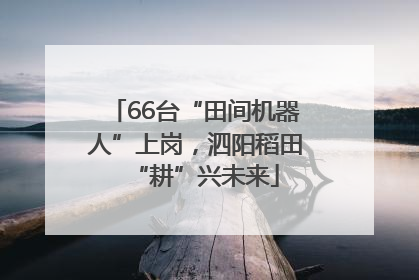 66台“田间机器人”上岗，泗阳稻田“耕”兴未来