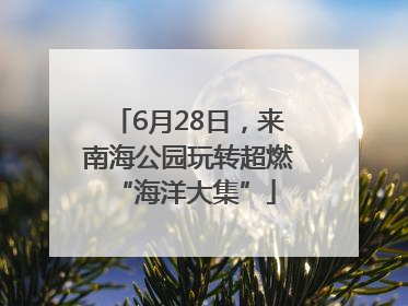 6月28日，来南海公园玩转超燃 “海洋大集”