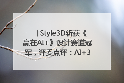 Style3D斩获《赢在AI+》设计赛道冠军，评委点评：AI+3D技术世界第一
